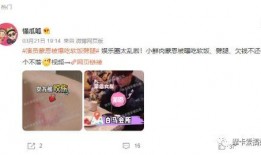 最狠爆料明星是谁啊视频,揭秘“最狠爆料明星”身份之谜