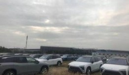 停车场新车爆料视频播放,新车亮相！停车场爆料视频揭秘全新车型风采