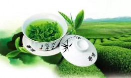 娱乐吃瓜酱绿茶,网络红人的崛起与争议