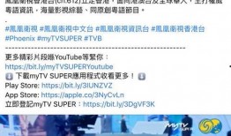 凤凰卫视爆料最新消息,最新热点事件深度解析