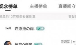 爆料网红提子视频大全集,揭秘网络红人的魅力瞬间
