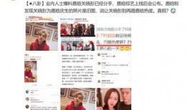 业内人士爆料鹿晗视频大全,揭秘明星幕后生活瞬间