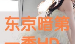 tokyo在线观看,一场虚拟的东京之旅