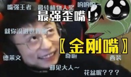 花哥二哥爆料视频大全下载,揭秘幕后真相，带你领略精彩瞬间