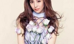 李艺娱乐圈爆料事件真相,揭秘真相背后的曲折历程