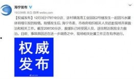 浙江嘉兴新闻爆料事件,揭秘背后真相，事件始末引发关注