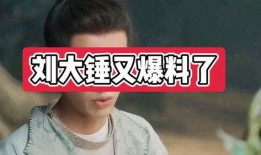 刘大锤爆料娱乐圈小说,娱乐圈幕后风云录