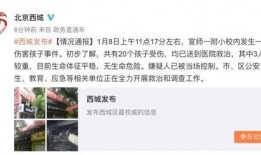 北京小孩爆料事件视频,揭秘校园霸凌背后的真相