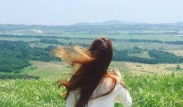 娱乐吃瓜酱背影头像,背影头像背后的故事