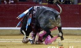 斗牛士在线观看,激情四溢的竞技盛宴