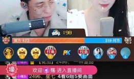 爆料木子事件视频播放,真相与争议交织