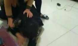 朵朵爆料哥哥视频,哥哥视频背后的故事