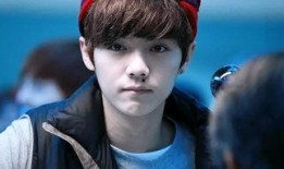 鹿晗摩天轮爆料视频,揭秘浪漫时刻背后的故事