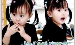 小菲最新爆料新闻事件,揭秘最新新闻事件背后真相