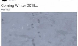 海外舅舅爆料视频,海外生活真实写照曝光