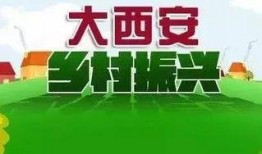 今日爆料西安新闻联播内容,最新爆料事件深度解析