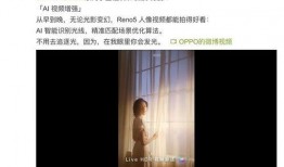 网曝爆料视频大全最新,揭秘网络热点事件背后的真相