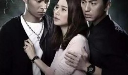 使徒行者2免费观看全集在线观看,揭秘卧底风云，揭秘卧底风云