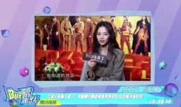 姐姐们内部爆料视频大全,视频大全背后的真实故事