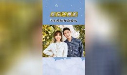 粤语娱乐大爆料,独家爆料，明星幕后故事全解析