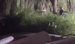 tf三代爆料视频,从爆料视频中探寻新成员风采与未来走向