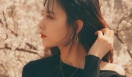 卢洋洋最新爆料视频播放,揭秘娱乐圈不为人知的一面