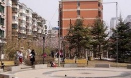 重庆安置房爆料事件最新,揭露背后真相与争议