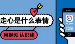 娱乐爱豆爆料文案句子大全,爱豆爆料文案背后的故事